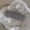 Jelly Color French Hair Clip: Versatile Medium Skeleton Shark Claw, Exquisite High-End Accessory