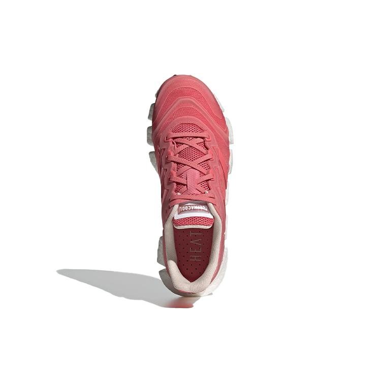 New Climacool Women's Adidas Vento 'Hazard Rose' Women's FW6841