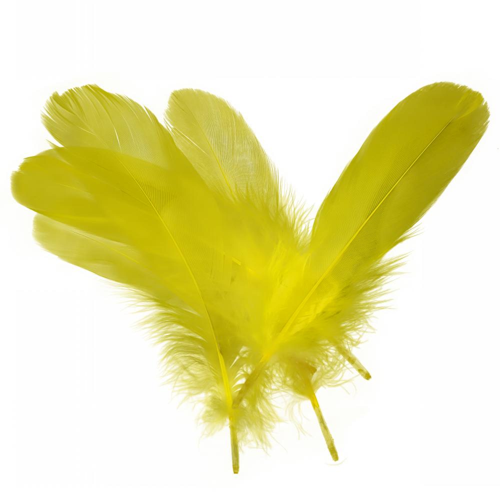 FeatherYellow Feathers for Crafts, 31 Styles Natural Pheasant, Rooster, Duck Feathers Bulk for Costume DIY, Fly Tying,Party Decoration