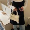 Women Casual Minimalist Small Square Crossbody Handbag Versatile Daily Shoulder Bag
