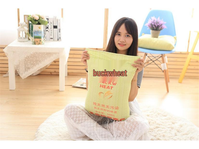 Creative Simulation Cement Sand Rice Flour Buckwheat Throw Pillow: Prank Gag Nap & Seat Cushion