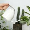 Garden Iron Plant Watering Can Designed For Small Houseplants Accurate Succulents Irrigation And Stylish Home Decoration