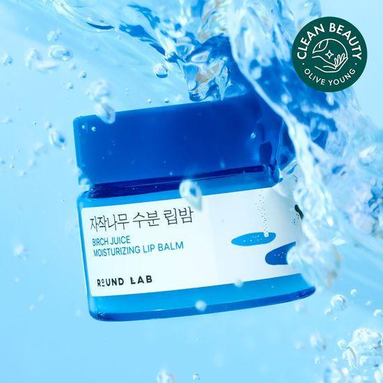 ROUND LAB Birch Moisture Lip Balm 20g