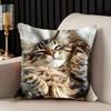 Cute Sleeping Cat Print Pillowcase Throw Cushion Cover for Pet Lovers Cozy Decorative Home Accent Gift Square Pillow Case Decor