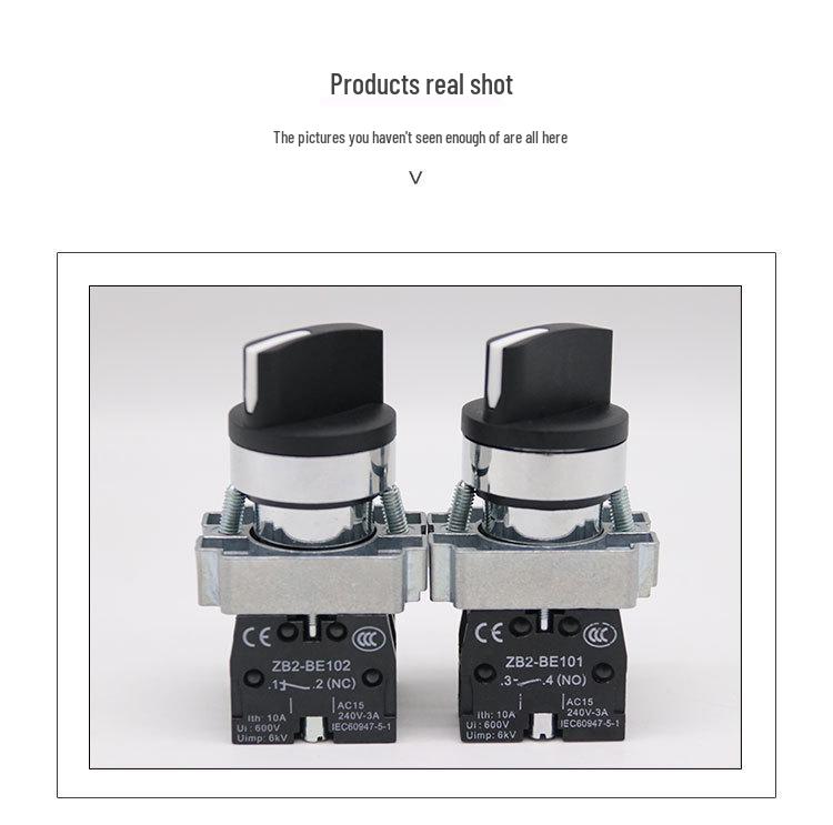 LA155P-BD25 Two-Position Knob Switch, IP67 Waterproof, Copper Parts, Silver Contacts, 22MM