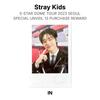 Stray Kids 5-STAR DOME TOUR 2023 SEOUL SPECIAL UNVEIL 13 PURCHASE REWARD Official Photocard