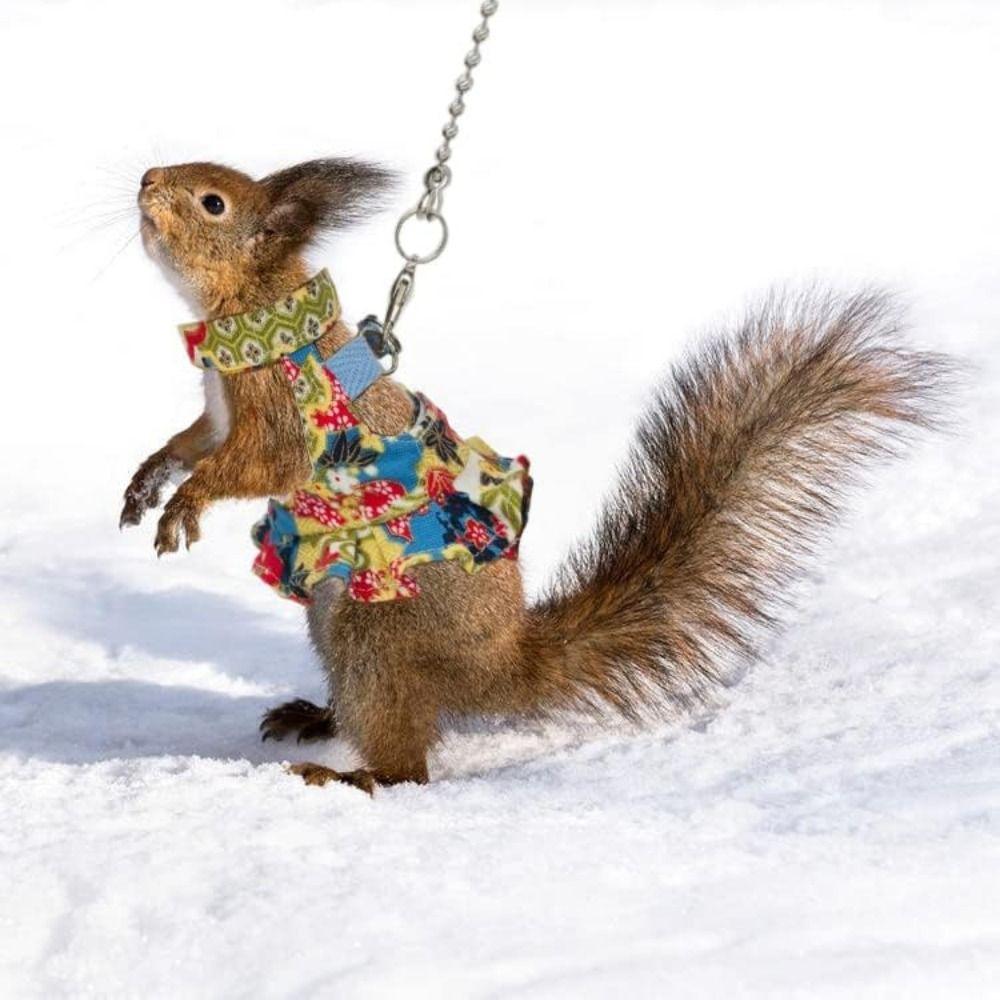 Multicolor Ferret Harness and Leash Set Traction Rope Squirrel Floral Skirt Pet Supplies