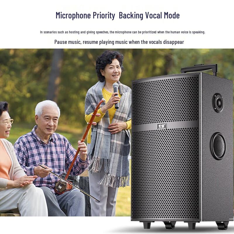 Soaiy SA-X66 High-Power 15-Inch Outdoor KTV Trolley Speaker