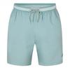 Homies Marbella Mens Logo Swim Shorts