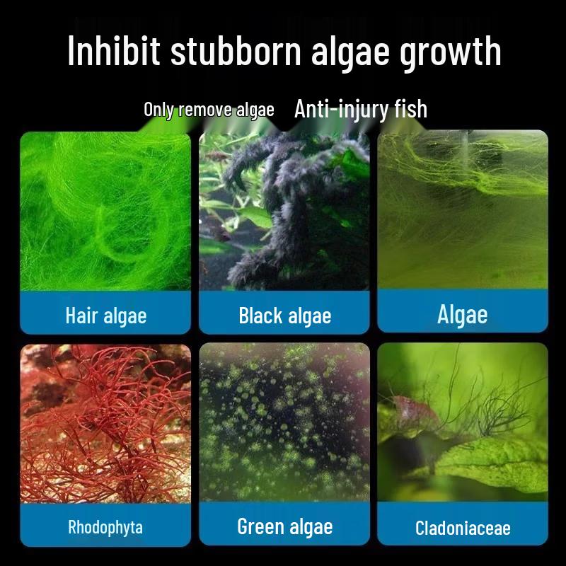 Crazy Aquatic Plant Algae Remover for Fish Tanks