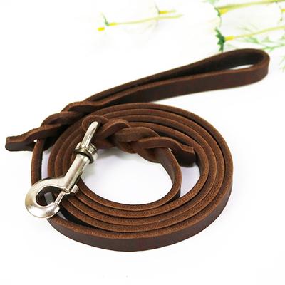 Köpek – Köpek Tasmaları ve Tasma Kayışları