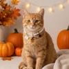 Elastic Collar Ghost Beaded Pet Necklace Cartoon Pet Pearl Necklace Halloween Costume