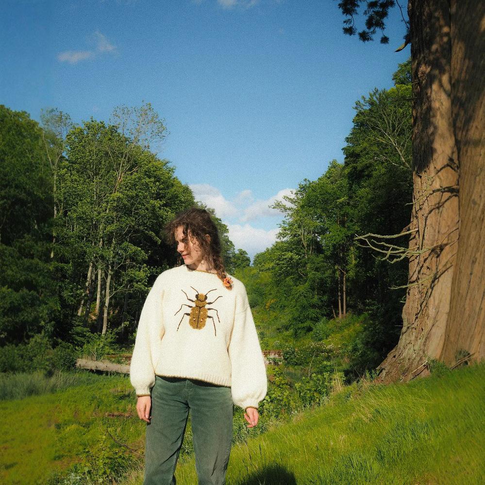 Round Neck Long Sleeve Loose Sweater with Insect Jacquard Pattern - Cute European and American Style