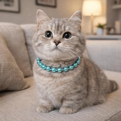 Gatos – Colares e correias para gatos