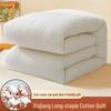Xinjiang Long-Staple Cotton Winter Quilt