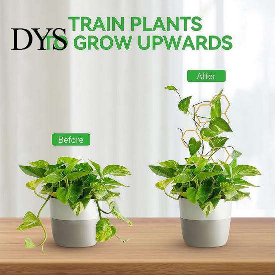 Stable Support for Small Vines Metal Honeycomb Trellis Potted Plants, 13.8" Climbing Plant Plants Indoor Hoya Pothos Ivy And Houseplants, Decorative