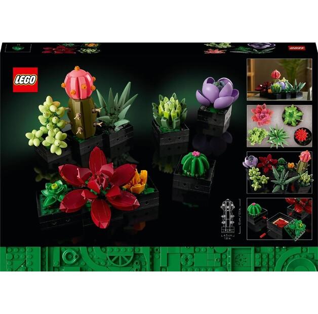 LEGO ICONS 10309 Суккуленты