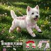 Bekleidung & Schuhe – Hundeoveralls