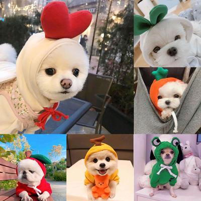 Autumn Winter Carrot Banana Fog Dog Puppy Drawstring Hoodie Pet Warm Clothing