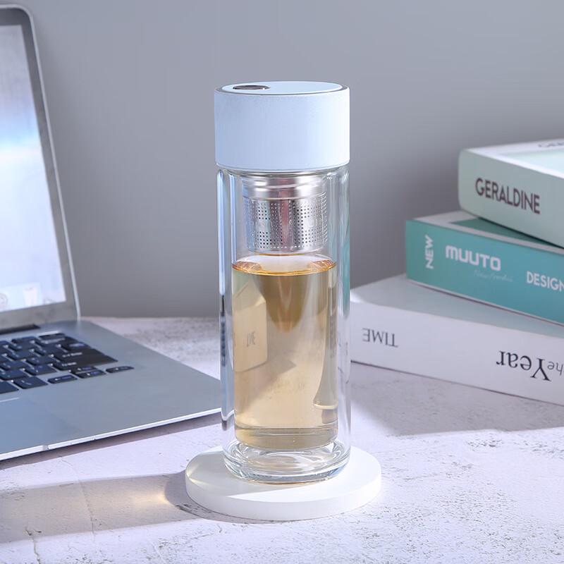 SX Double-Layer Tea Infuser Glass Cup