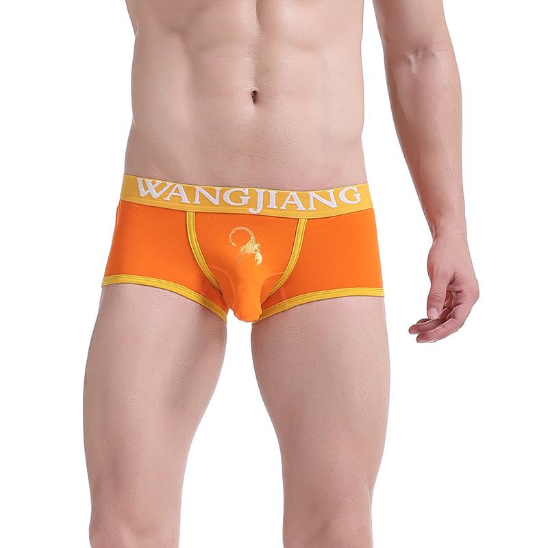 Men's Trendy Elephant Trunk Cotton Boxer Briefs (1027B)