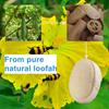 Loofah Sponge Pad - Natural Loofah and Terry Cloth Shower and Bath Body Scrubber, Smooth Skin, Essential Personal Care