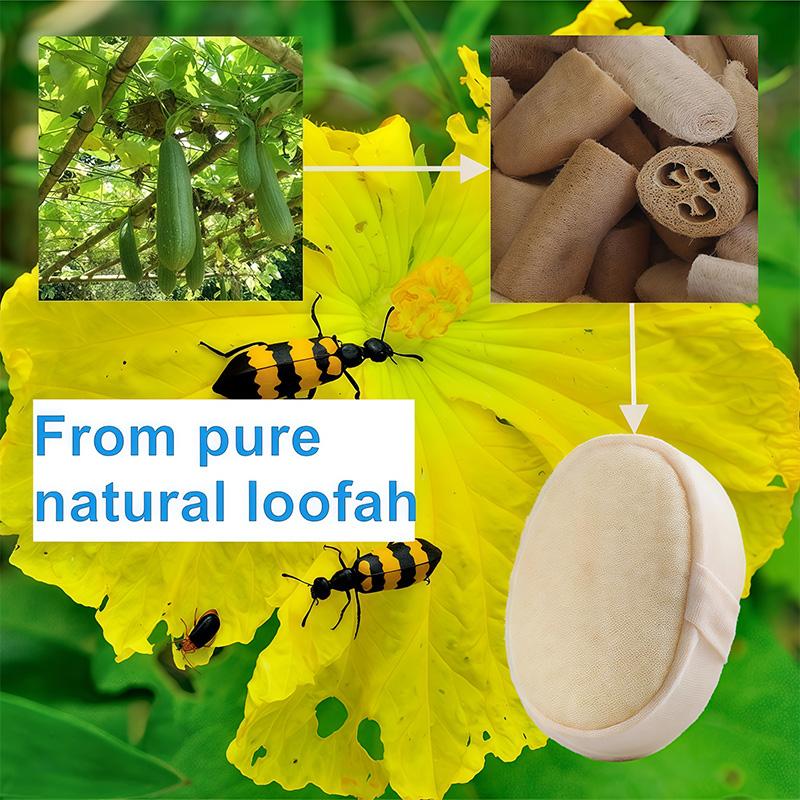 Loofah Sponge Pad - Natural Loofah and Terry Cloth Shower and Bath Body Scrubber, Smooth Skin, Essential Personal Care
