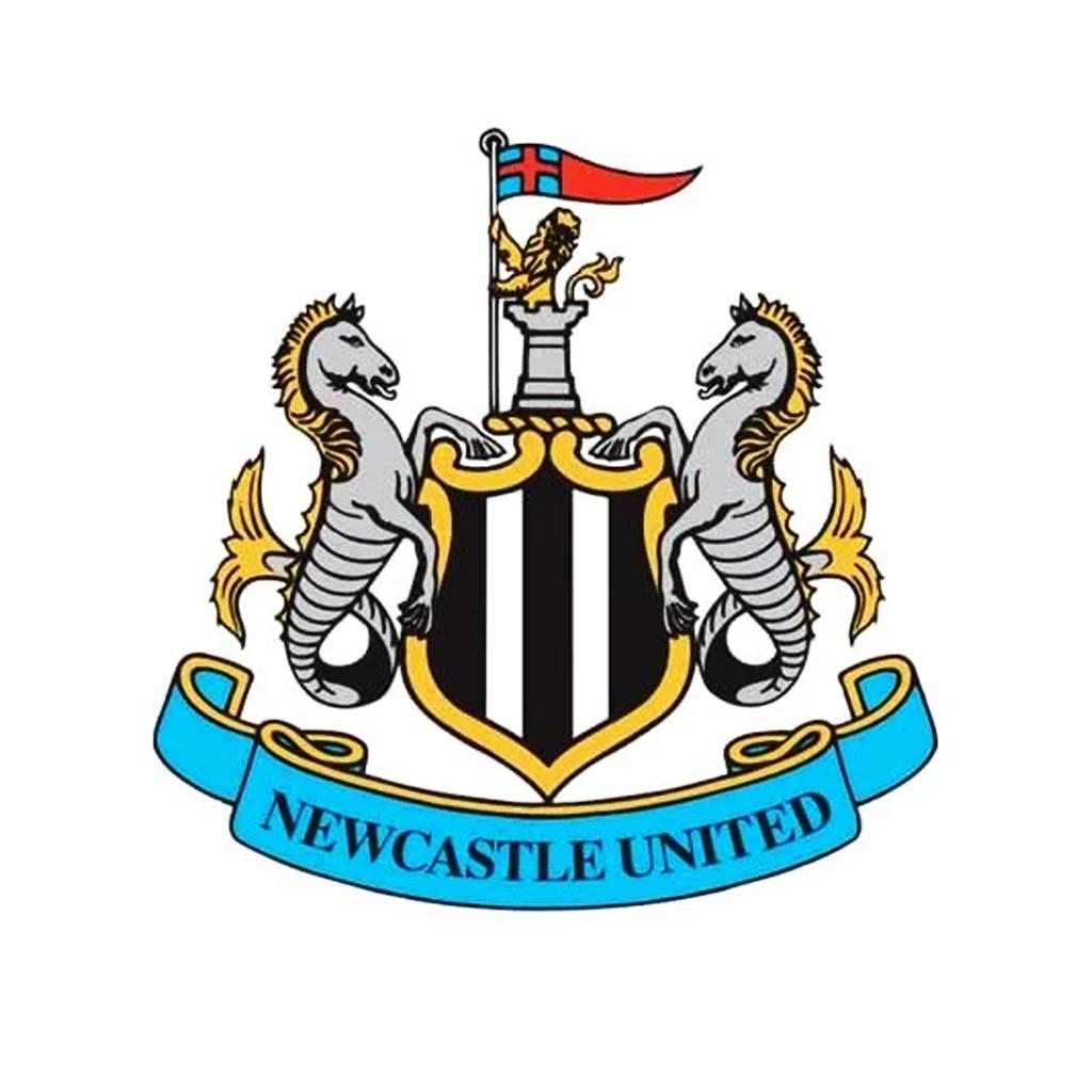 Newcastle United FC No One Fans Striped Sign
