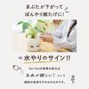 [Amepura] Pet Pot Pet Pot Planter Plant Watering Home Garden (1)