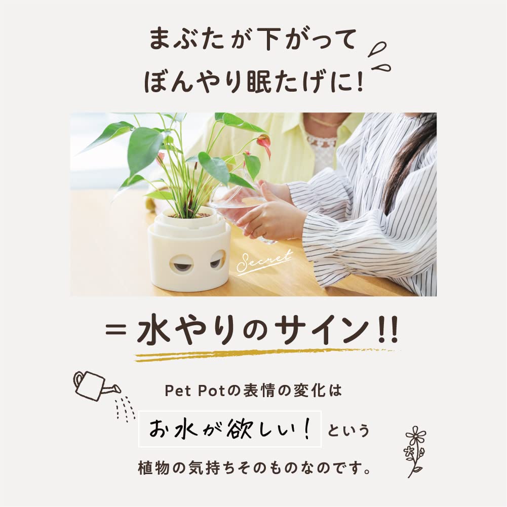 [Amepura] Pet Pot Pet Pot Planter Plant Watering Home Garden (1)