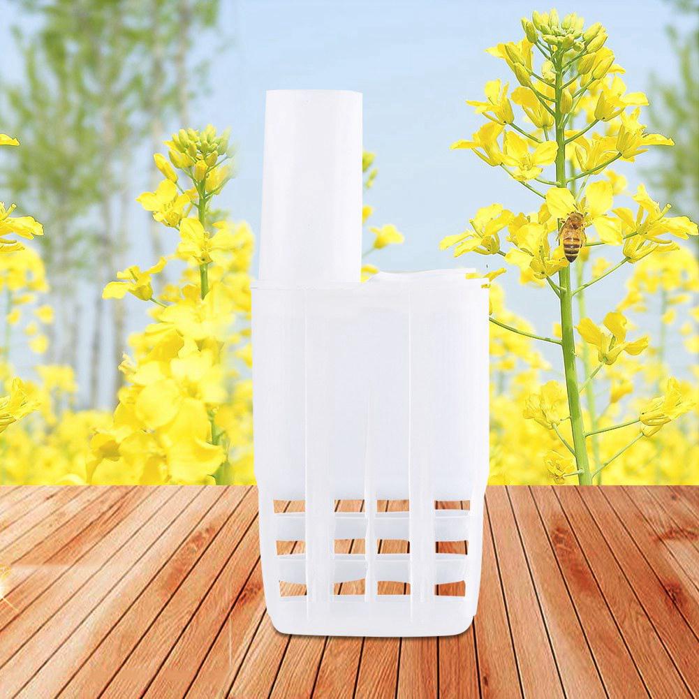 10pcset Plastic Queen Bee Cages Isolator Beekeeper Beekeeping Rearing Tools Insectary Box