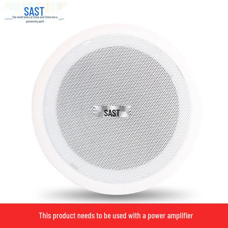Sienko Y5 5-inch Ceiling Speaker CN plug (adapter included)