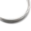 0.5Mm Nichrome Wire 10M Length Resistance Resistor Awg Wire