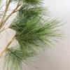 Artificial Pine Needle Christmas Tree Branch with Fruit