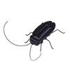 (H0826)Educational Solar Powered Cockroach Robot Toy Solar Powered Toy  Gadget Gift