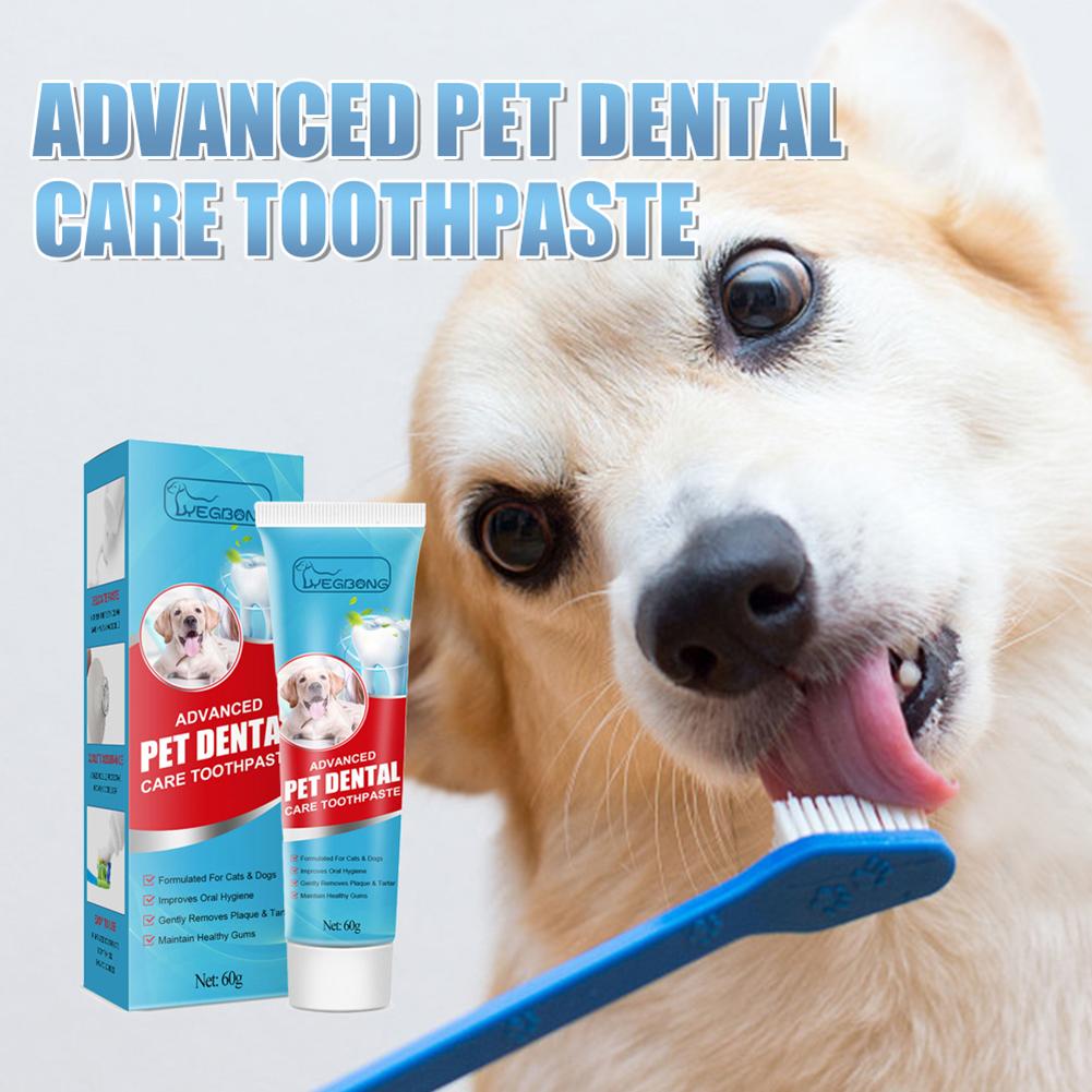 60g Cat Edible Toothpaste Remove Tartar Puppy Kitten Dog Cat Toothpaste Teeth Cleaning Dog Cat Edible Toothpaste Pet Accessories