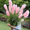 Boliginnredning – Dekorative blomster og kranser