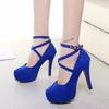 Fashion Sexy Classic High Heels Women's Sandals Summer Shoes Ladies Ankle Strap Pumps Platform Heels Woman Strappy Shoes