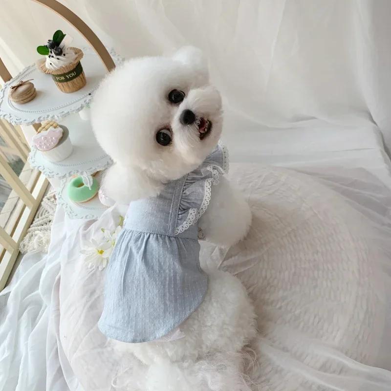 

Summer Cat Dress Chihuahua Skirt Puppy Doggie Small Dog Clothing Yorkshire Maltese Shih Tzu Pomeranian Clothes Pet Apparel XXS XXXS синій
