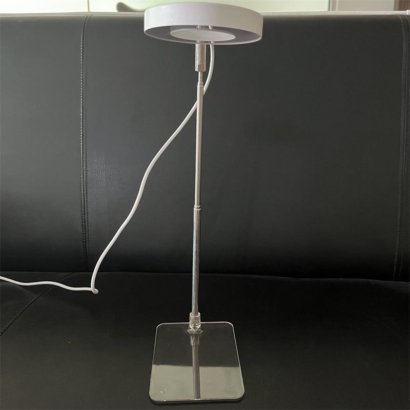 Indoor LED Angel Ring Grow Light for Plants and Succulents