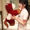 Traditional Chinese Pony Plush Pillow With Pp Cotton Fill For Kids And Home Decor