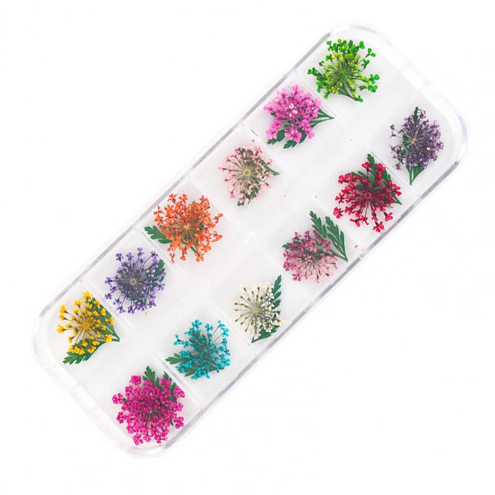 Dried Flower Nail Decoration Nail Art Accessories Vibrant Floral Nail Art Supplies 12 Colors of Natural Dried for Manicure
