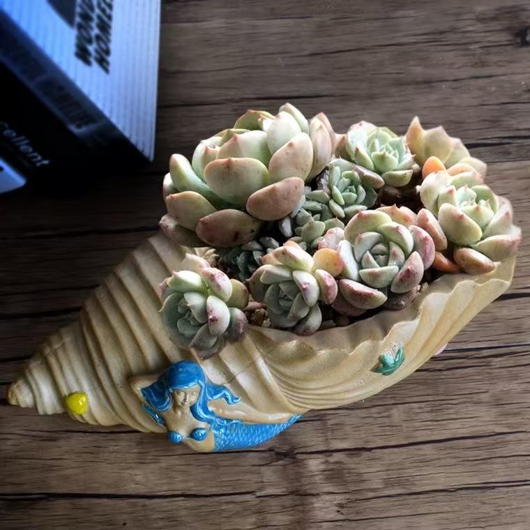 Large Unglazed Breathable Ceramic Succulent Pot for Asparagus Fern & Coin Grass - Creative Coarse Pottery Design