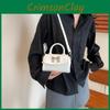 Chic Women's Small Crossbody Bag 2024 Fashionable Bowknot Trendy Pu Leather Square Handbag
