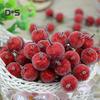 Decorations Home Artificial Fruit Berries DIY Stage Garden Holiday Party Craft Decor