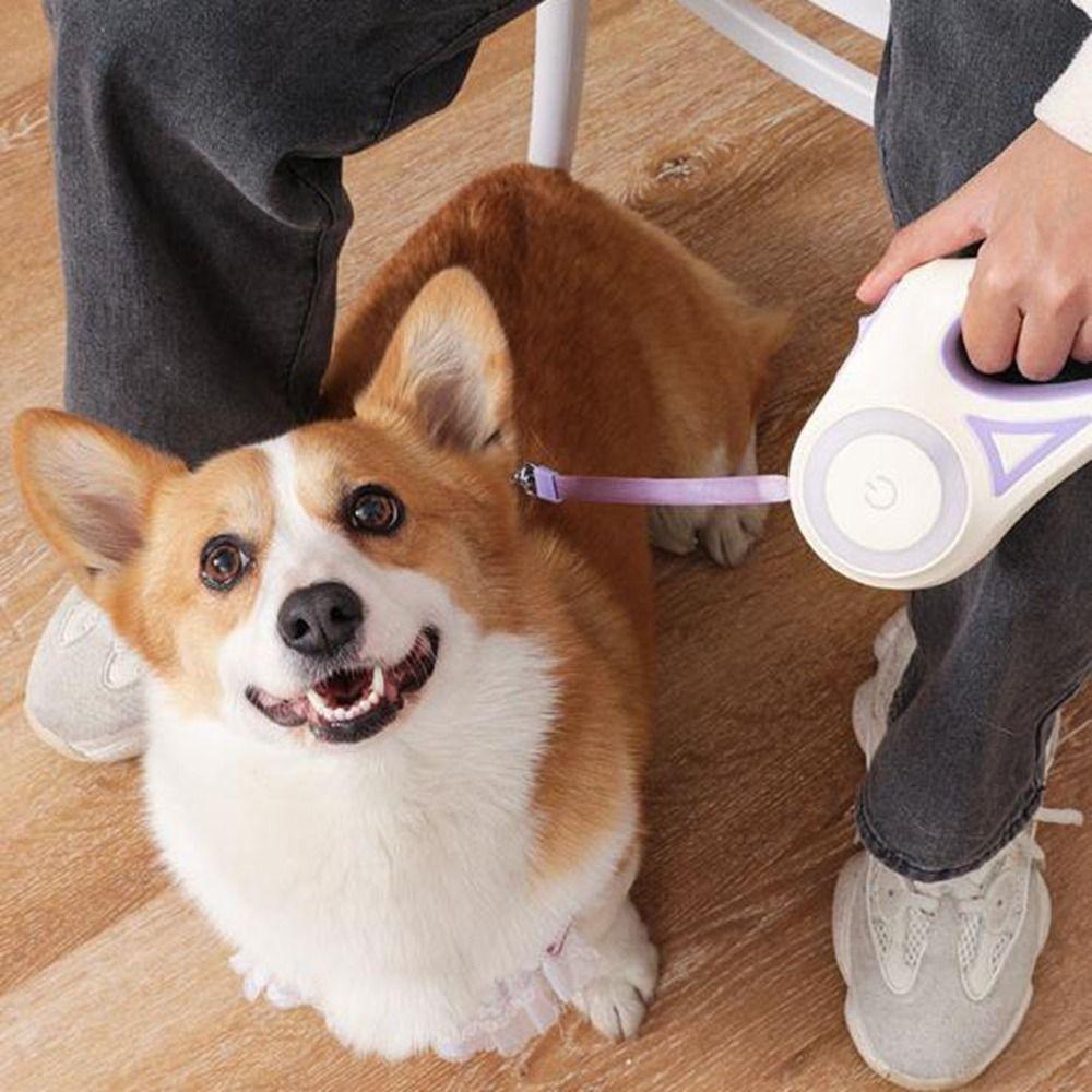 Nylon LED Luminous Dog Leash Non-Slip Handle Pet Traction Rope Pet Walking Leads Night Outdoor