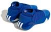 Harden Vol. 7 Adidas 'Royal Blue' IE9248