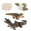 Crocodile Animal Life Cycle Model Pvc Toy For Educational Science Teaching And Display