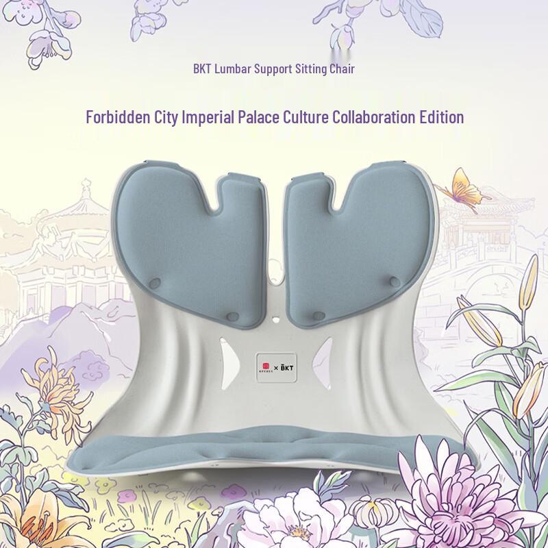 BKT Ergonomic Lumbar Support Chair Cushion