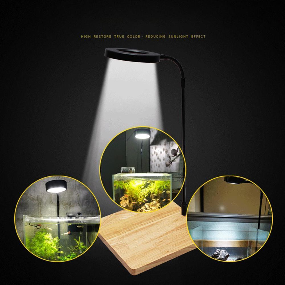 10W Dimmable LED Aquarium Light with Timer and USB Plug, 3000K Warm White 6000K Cold White Fish Tank Plant Grow Lamp with Base